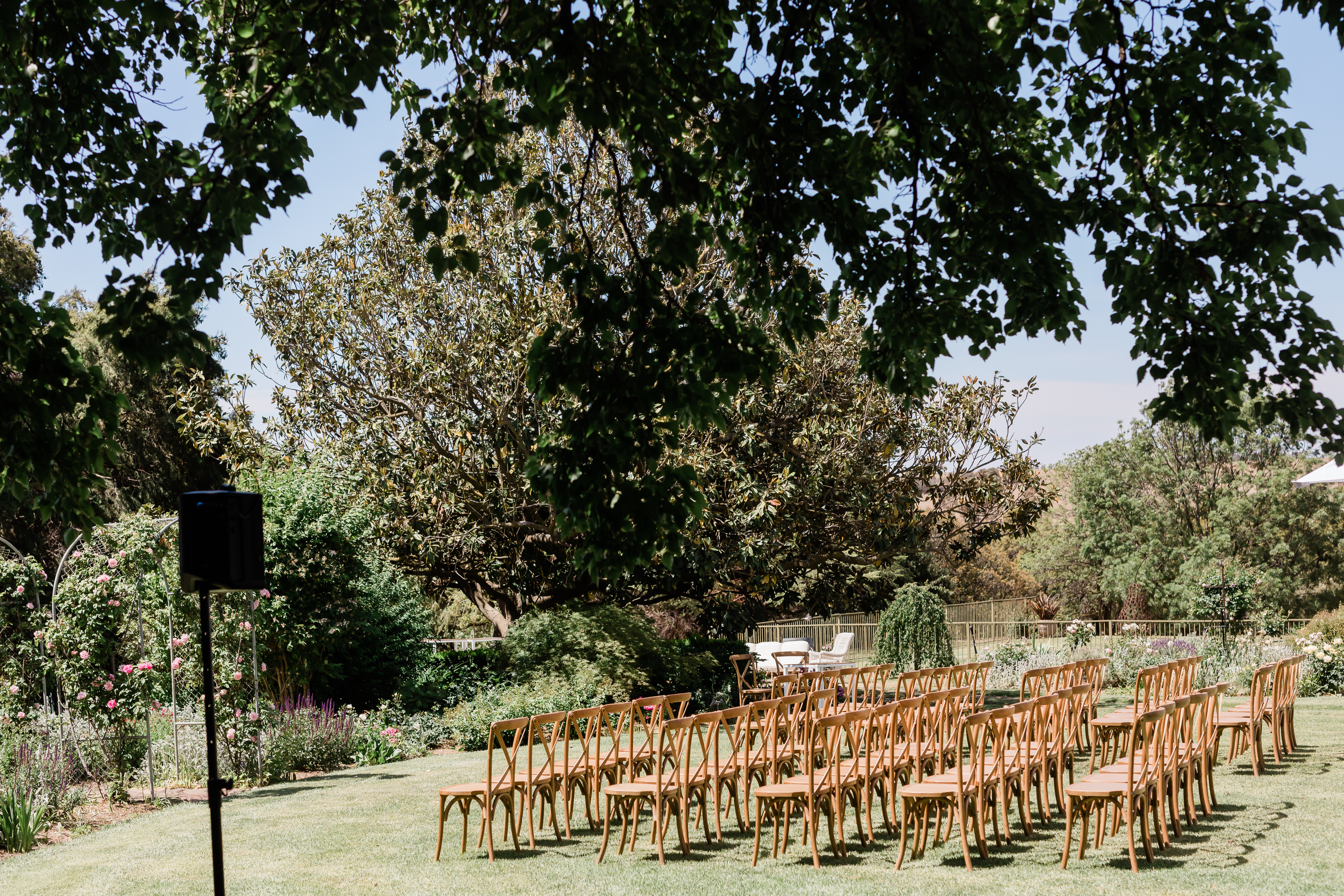 191115TorDaveColour-0131