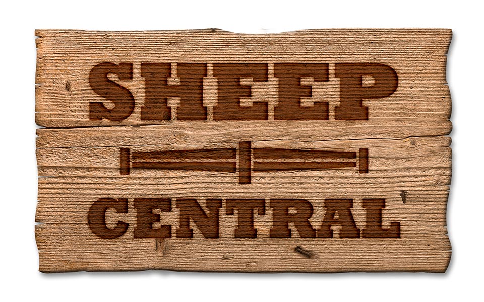 Sheep-Central-Logo-Timber-clean