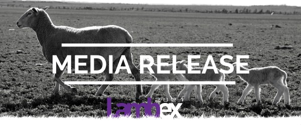lambe ex media release