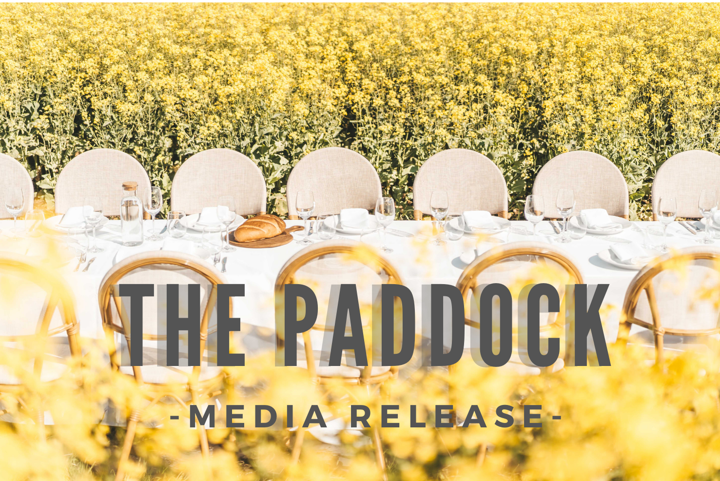 PADDOCK MEDIA RELEASE